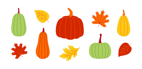 Harvest festival. Colorful fall pumpkins and leaves set. Autumn vegetable harvest. Doodles and icons. Vector illustrations isolated on white.