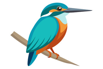 eautiful kingfisher sitting on the single branch vector art illustration