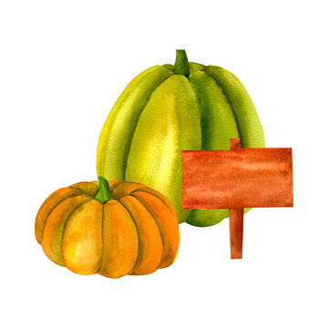 recommend clip art: Juicy green and orange clip art pumpkin, watercolor realistic botanical illustration, for prints, invitations, cards for the autumn holidays Thanksgiving, Halloween, harvest festival, farmer's market.