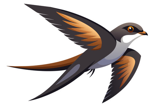 flying swallow bird, brown and black clip art preview