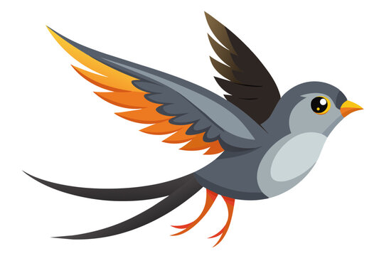 recommend clip art: Beautiful swift bird different posture vector art illustration 