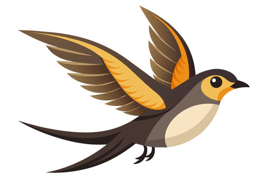 recommend clip art: Beautiful swift bird different posture vector art illustration 