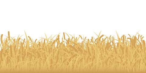 Wheat field isolated flat design graphic illustrated. Rice field side view object template. © Wasitt