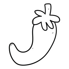 Hand drawn doodle of chili pepper on white background.