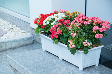 Beautiful decorative flower pots placed along the walkway.