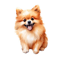 Obraz premium Cute Pomeranian Dog Smiling Clipart Illustration
