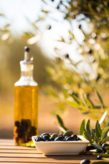 Green and black olives on table in olive grove