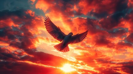 Fototapeta premium A silhouette of a bird flying against a bright, dramatic sunset, creating a striking visual