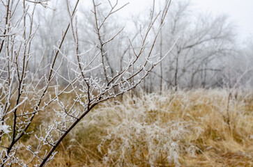 Winter nature of the Urals