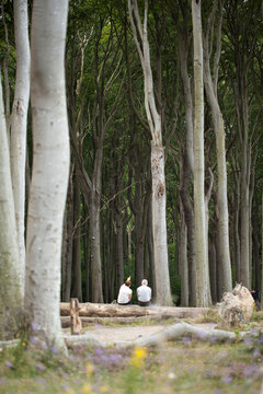 Den Wald beobachten