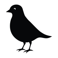 bird black silhouette vector Illustration