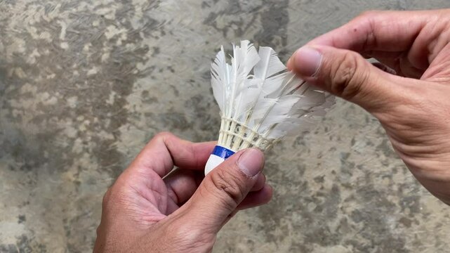A man try to repair and tidy up the broken feathers of used shuttlecock which has been used repeatedly. Concept for Badminton Practice