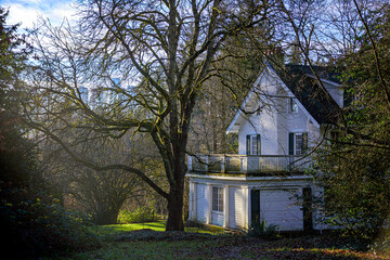 Historic residential house on foggy winter day in Vancouver