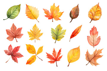 Watercolor autumn yellow leaves and plants collection isolated on white background