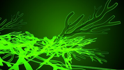 Greece and Halkidiki anatomy. 3d illustration