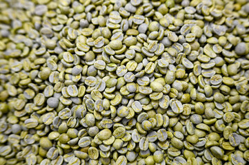 Heap of Green unroasted coffee beans