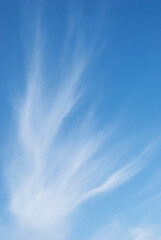gentle cirrus clouds in the blue sky