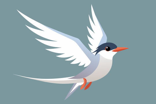 recommend clip art: Cute bird of flying tern bird vector illustration