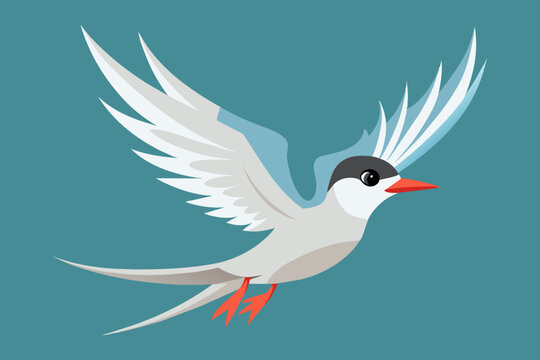 recommend clip art: Cute bird of flying tern bird vector illustration