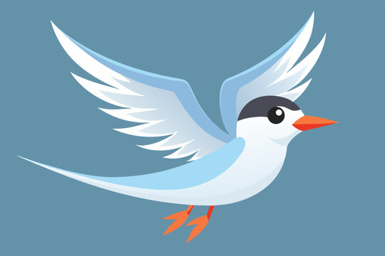 recommend clip art: Cute bird of flying tern bird vector illustration