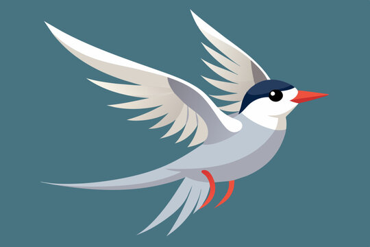 recommend clip art: Cute bird of flying tern bird vector illustration
