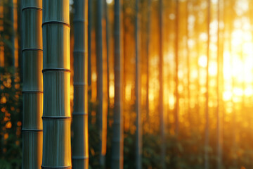 Obraz premium A bamboo forest, isolated on a pastel beige background, symbolizing fast-growing, renewable materials for sustainable living,