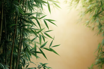 Fototapeta premium A bamboo forest, isolated on a pastel beige background, symbolizing fast-growing, renewable materials for sustainable living,
