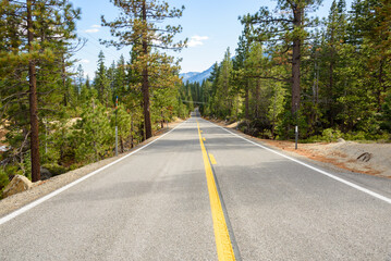 Empty stretch of mountain road through a pine forest in California on a clear autumn day