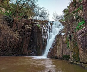 waterfall in the forest