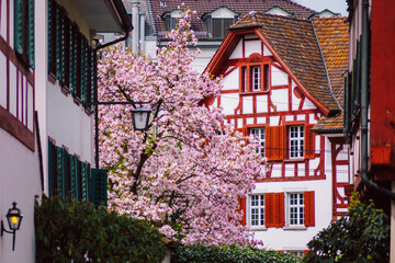 Traditional Swiss House in Springtime Street View