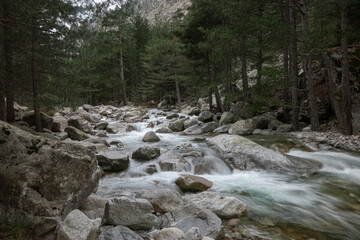 Restonica River near Corte. The fast flowing River Restonica that flows down the very picturesque valley of the same name. On its journey passing through the small town of Corte.