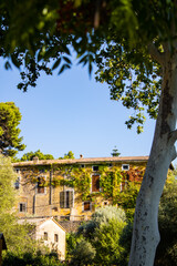 Fototapeta premium Establishment of a village on the outskirts of the city, surrounded by plants that cover its windows and beautiful trees of different shades of color around it while the sun illuminates it in the morn