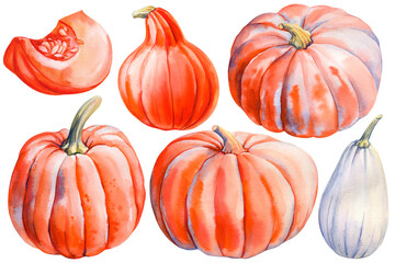 Orange pumpkin on isolated white background, fall watercolor illustration hand drawing. Autumn clip art. Ripe pumpkin