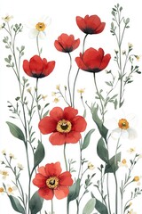 Fototapeta premium Watercolor Red Poppy Flowers and White Daisies Floral Design