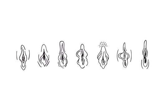 Vulva and clitoris. Hand drawn doodle sketch. Female reproductive system. Vector