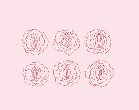 Vulva flowers. Line art roses. Female reproductive system concept. Vector