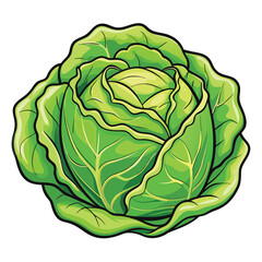 Obraz premium Cabbage Cartoon-Style Vector Illustration in Line Art on White Background – Simple, Clean Design in PNG Format for Healthy Food Icons, Digital Graphics, and Vegetable Illustrations