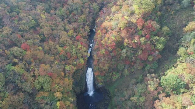 蔵王エコーラインの不動滝　ドローン空撮