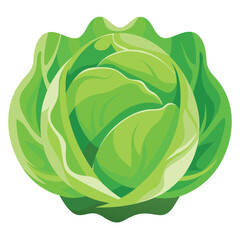 Obraz premium Cabbage Cartoon-Style Vector Illustration in Line Art on White Background – Simple, Clean Design in PNG Format for Healthy Food Icons, Digital Graphics, and Vegetable Illustrations