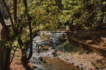 river landscape in the park