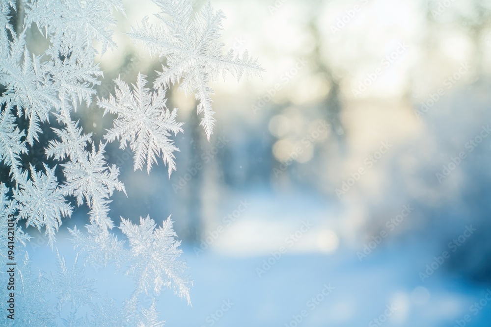 Poster intricate frost patterns on a window pane