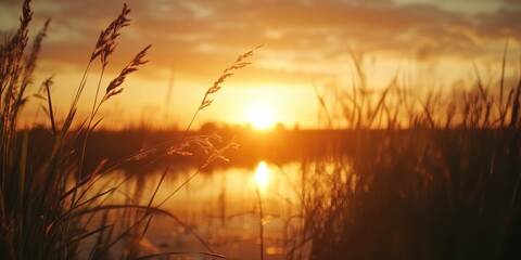 Fototapeta premium Serene Sunset in the Wild