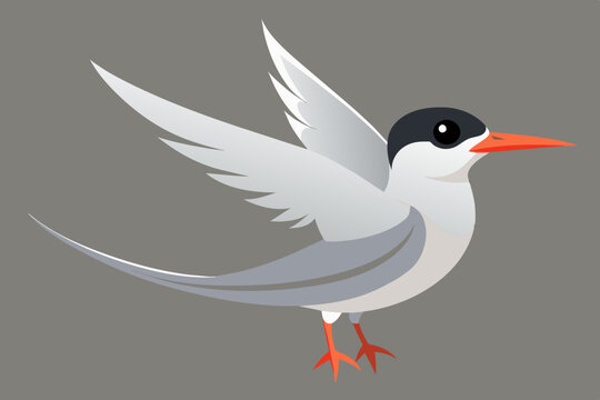 recommend clip art: Cute bird of tern bird vector art illustration