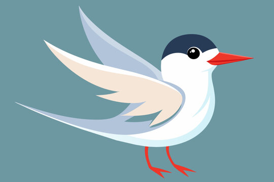 recommend clip art: Cute bird of tern bird vector art illustration