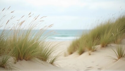 Wind-swept dune grasses growing in the sand, with a soft ocean view in the background