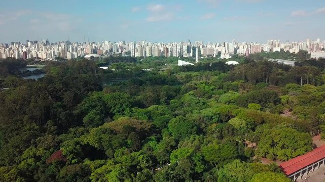 Aerial view of Ibirapuera Park in S&atilde;o Paulo, Brazil, with a lush green canopy and distant city buildings.