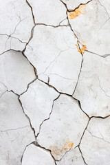 Obraz premium Close-up view of cracked and textured white concrete surface, highlighting natural patterns and aged appearance. Perfect for backgrounds and design projects.