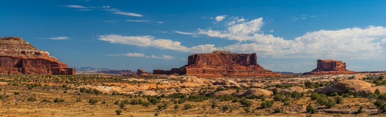 The desert area of red cliffs of the Island in the Sky District of Canyonlands national park in Utah USA.