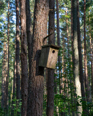 an old abandoned bird nesting box hanging on a tree trunk