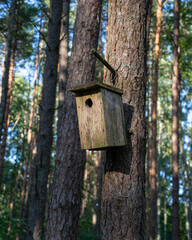 an old abandoned bird nesting box hanging on a tree trunk